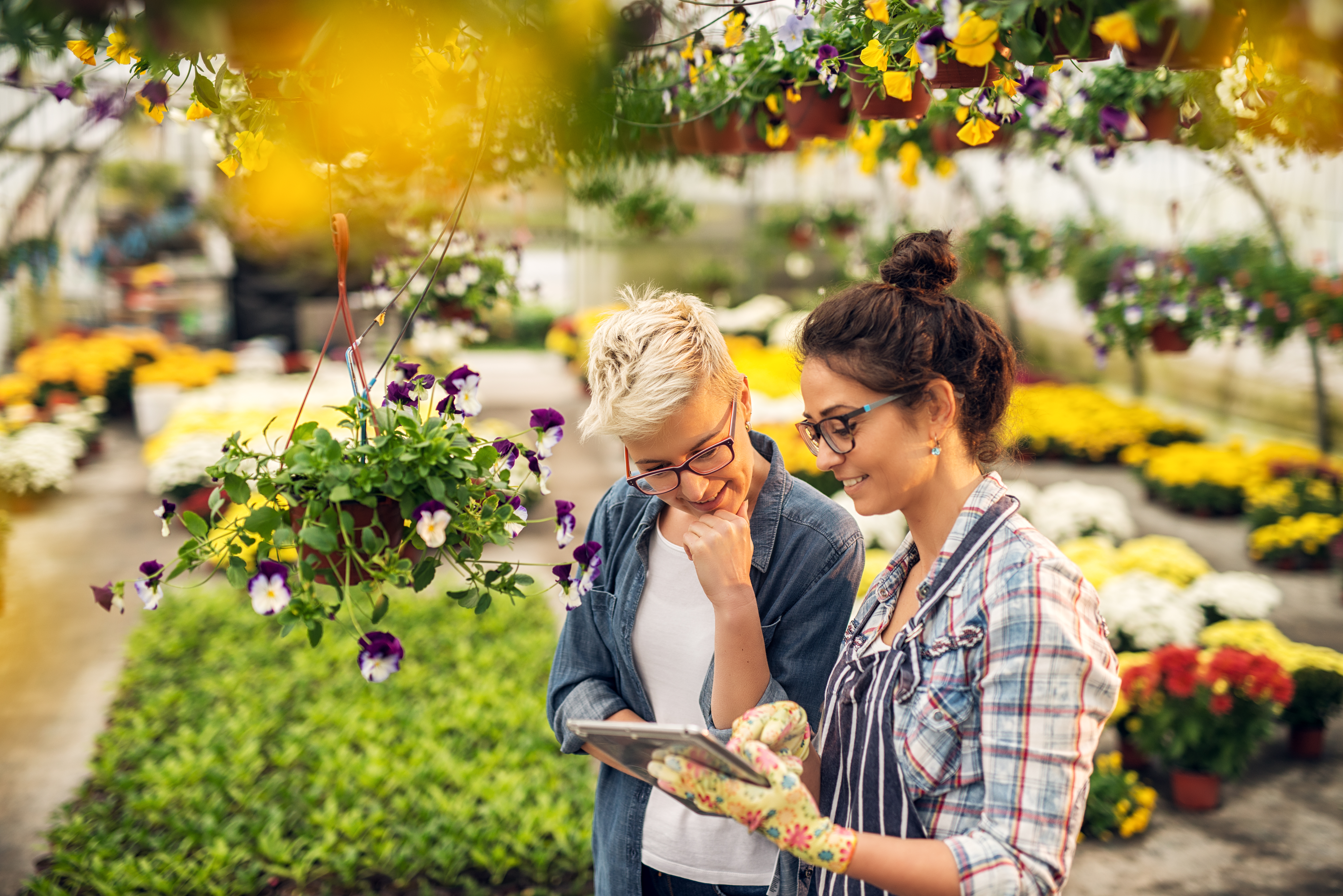 Two gardeners using a tablet to download a COI